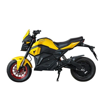 Electric Street Motorcycle for Adults